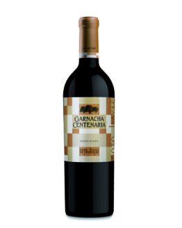 vi-negre-garnacha-centenaria-temps-de-vins-igualada